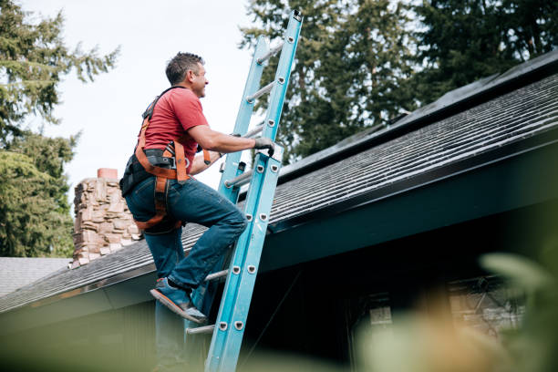 Best Skylight Installation and Repair  in Liberty City, TX